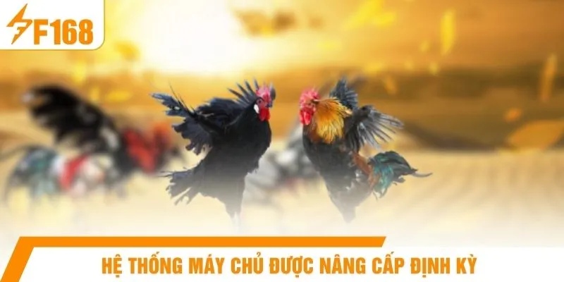 Hệ thống máy chủ được nâng cấp định kỳ 