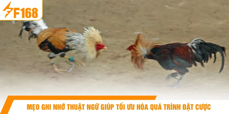 Mẹo ghi nhớ thuật ngữ giúp tối ưu hóa quá trình đặt cược